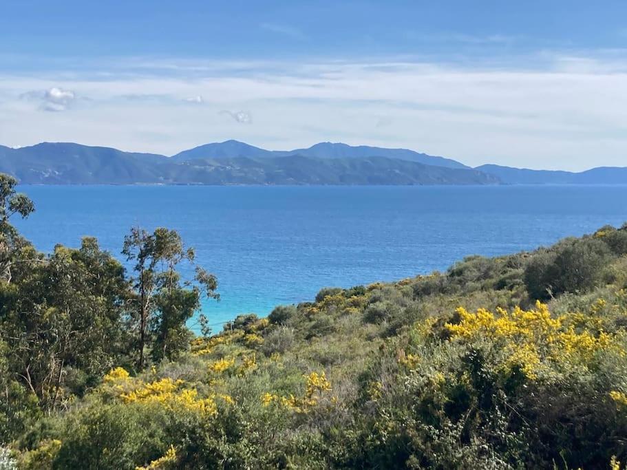 Casa Turrigiani Βίλα Sagone  Εξωτερικό φωτογραφία