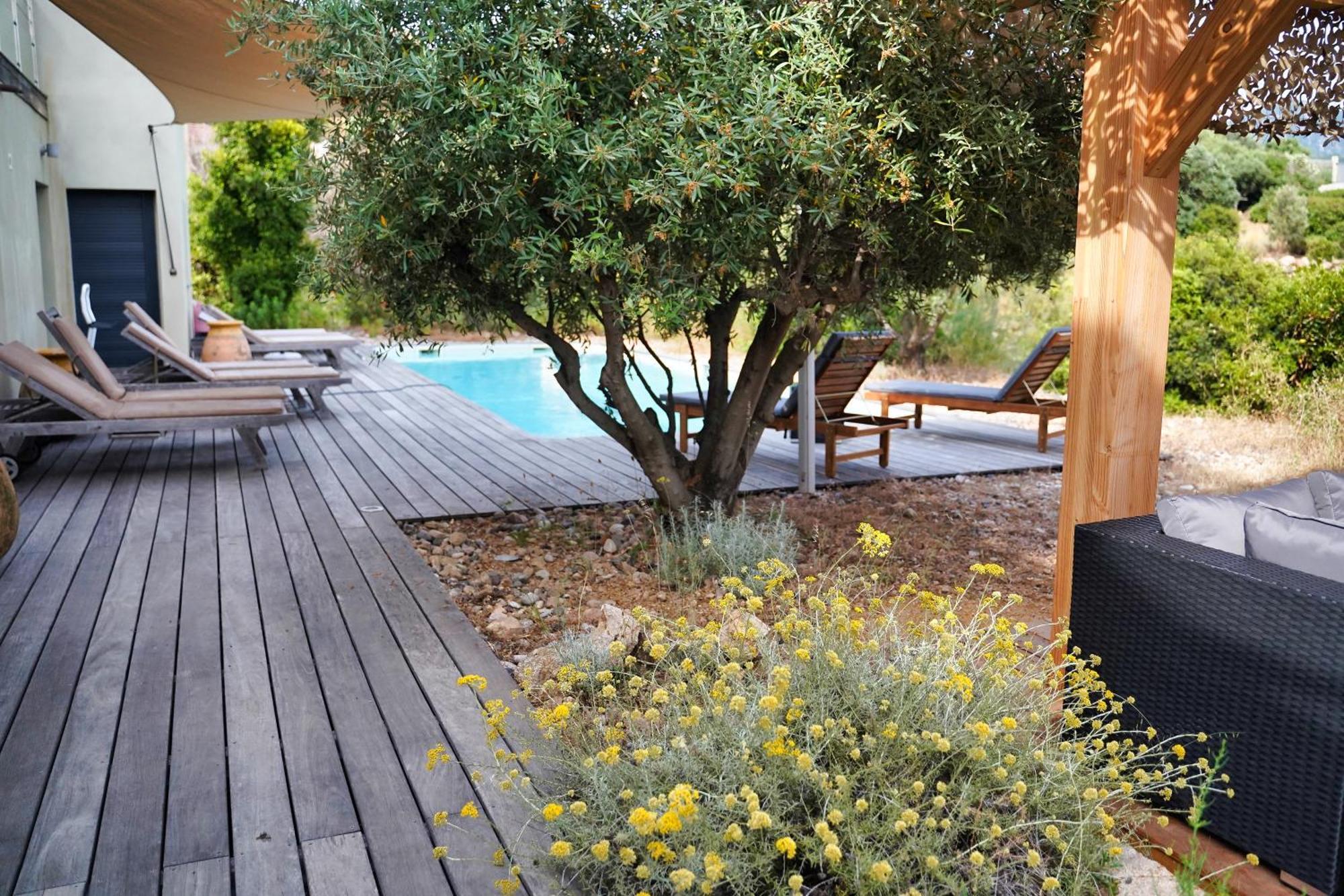 Casa Turrigiani Βίλα Sagone  Εξωτερικό φωτογραφία