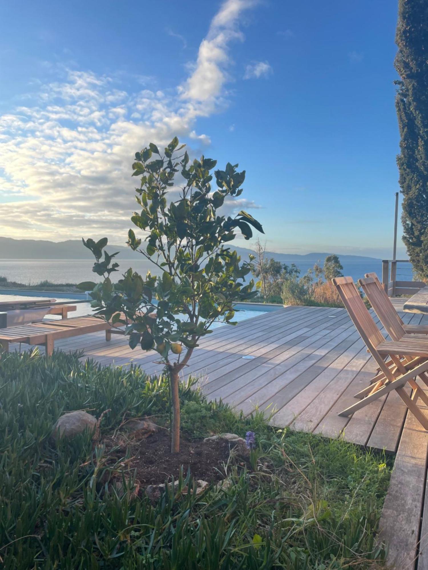 Casa Turrigiani Βίλα Sagone  Εξωτερικό φωτογραφία